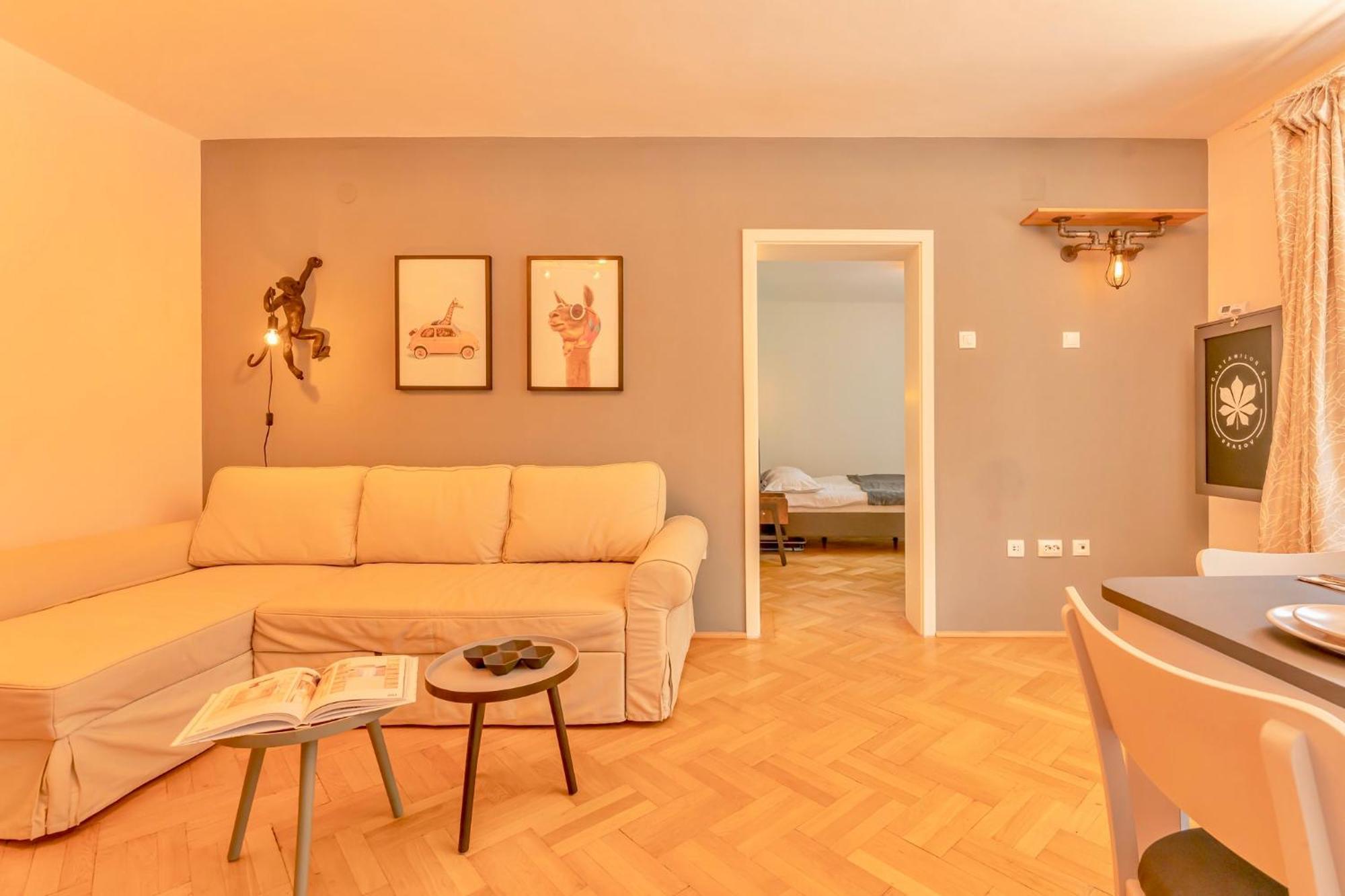 Castanilor 6 - Hip Industrial Apartment Close To City Centre Брашов Екстериор снимка